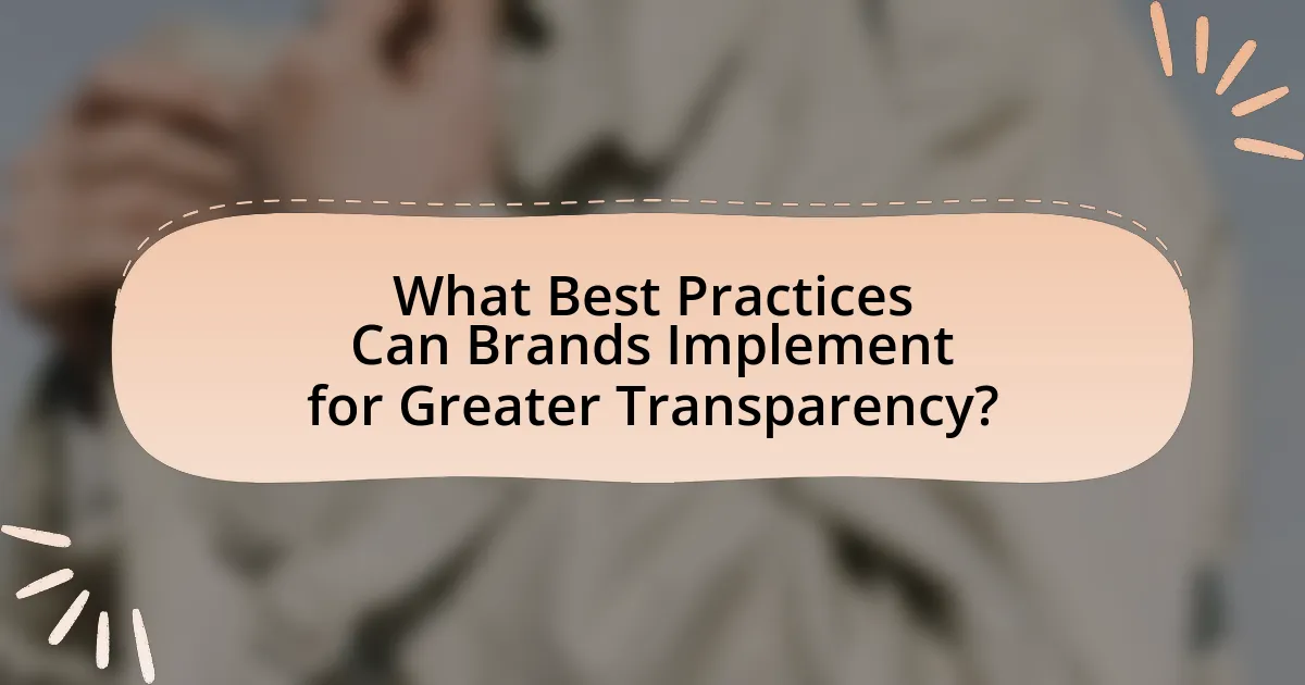 What Best Practices Can Brands Implement for Greater Transparency?
