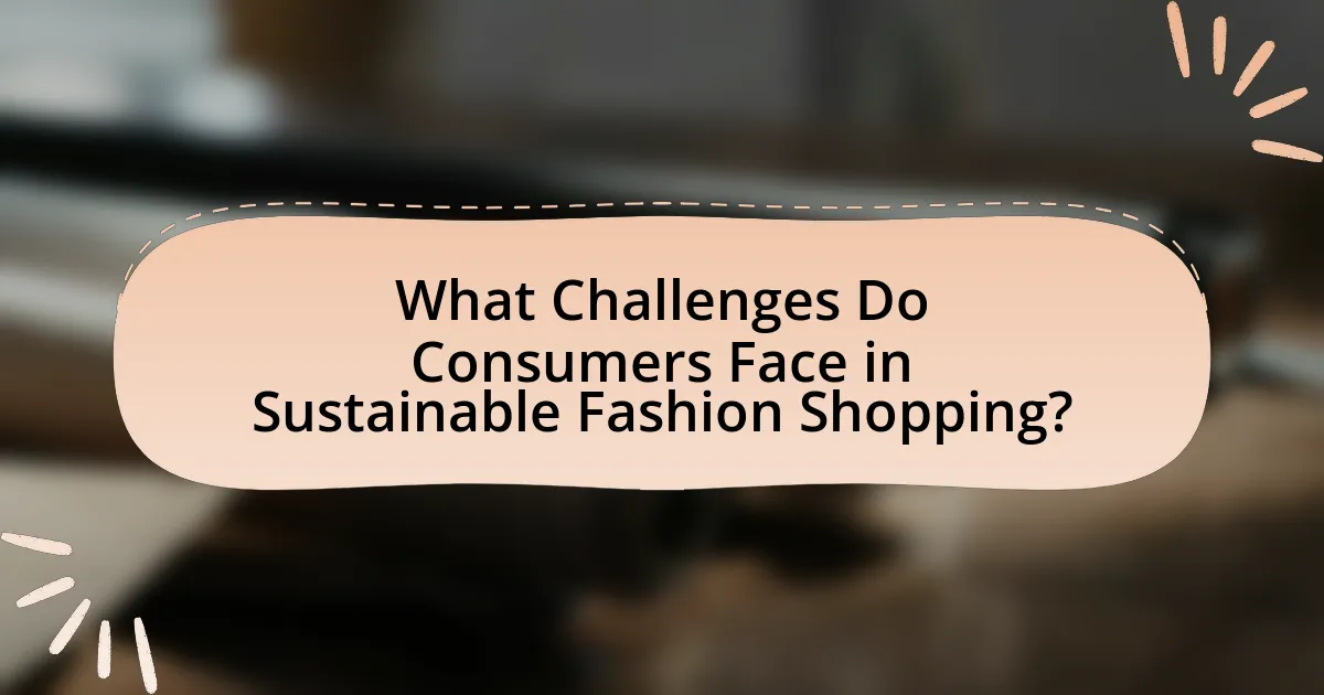 What Challenges Do Consumers Face in Sustainable Fashion Shopping?