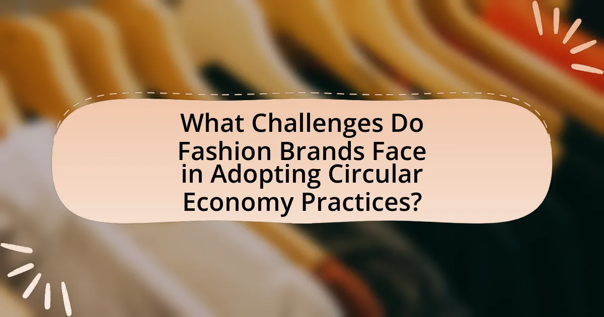 What Challenges Do Fashion Brands Face in Adopting Circular Economy Practices?