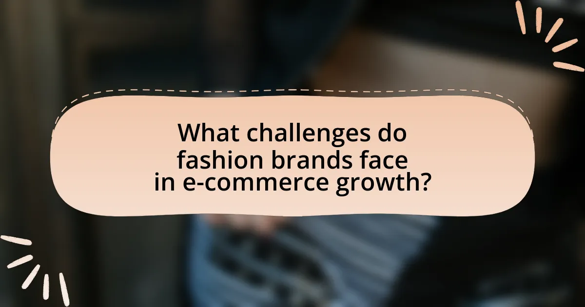 What challenges do fashion brands face in e-commerce growth?
