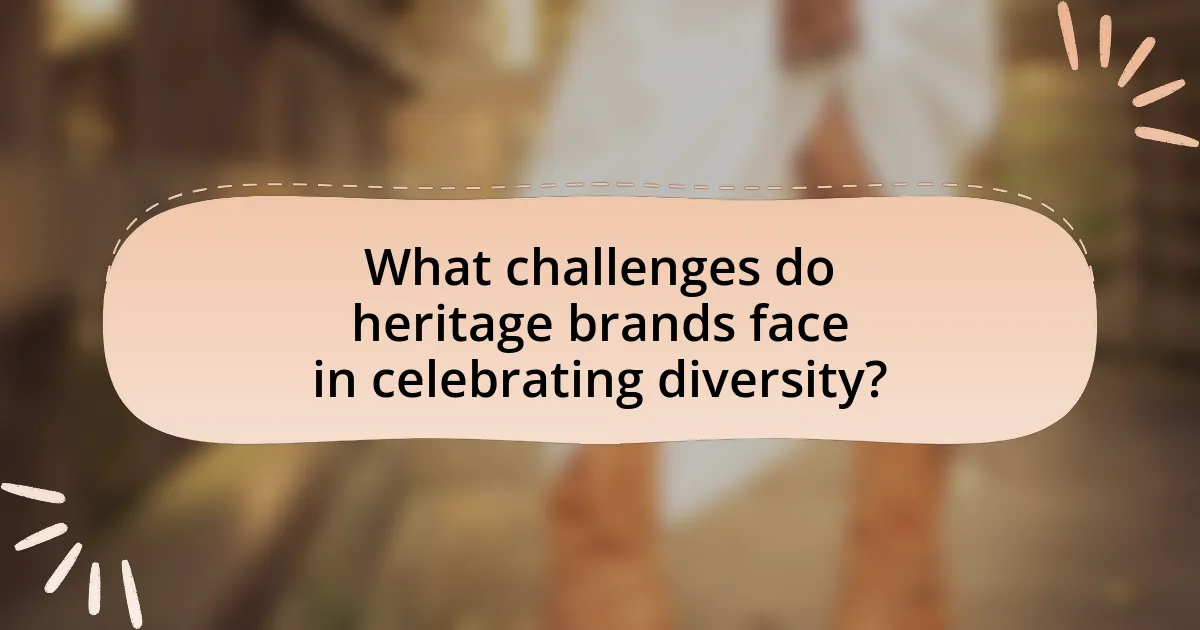 What challenges do heritage brands face in celebrating diversity?