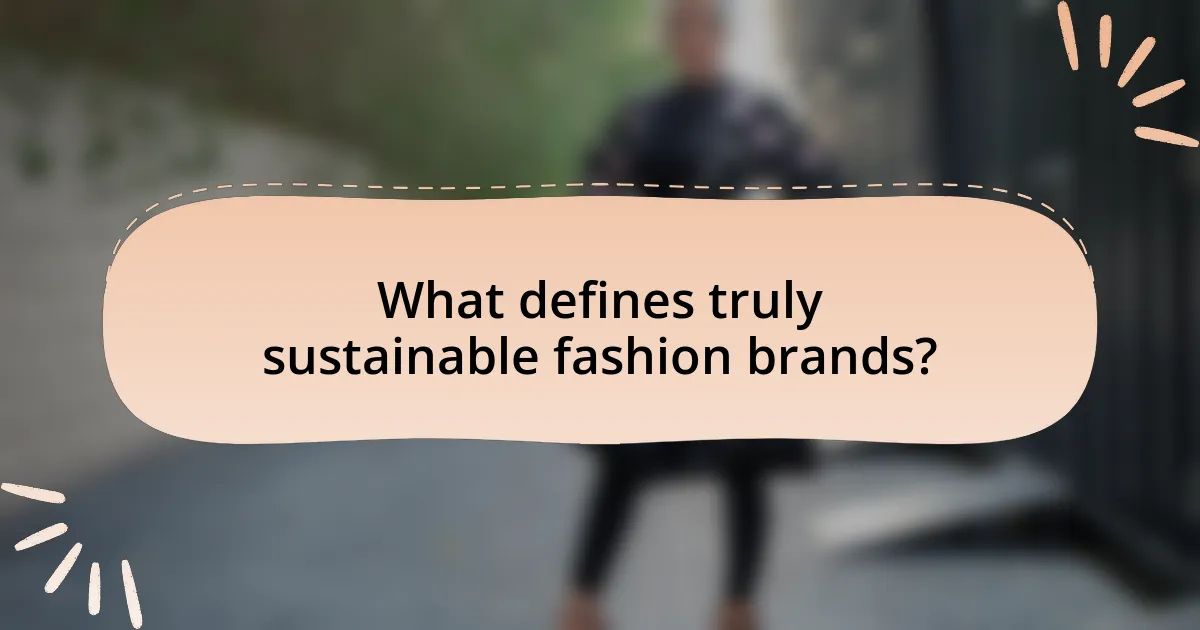 What defines truly sustainable fashion brands?