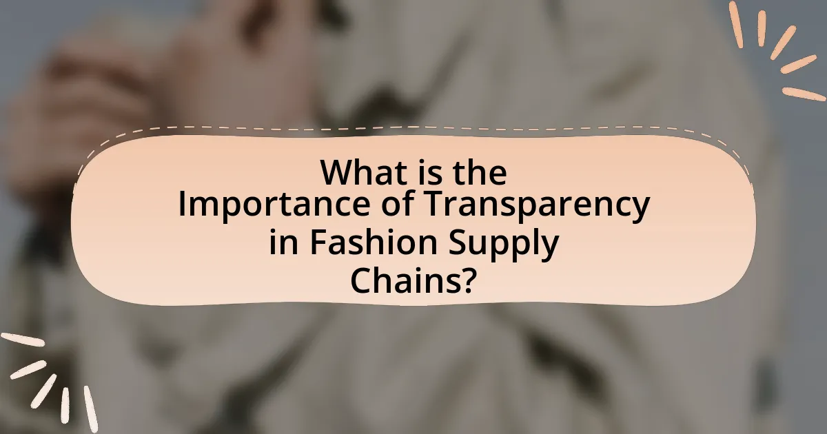 What is the Importance of Transparency in Fashion Supply Chains?