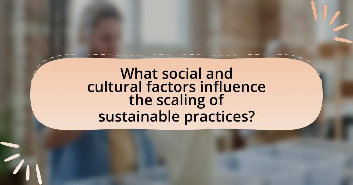 What social and cultural factors influence the scaling of sustainable practices?