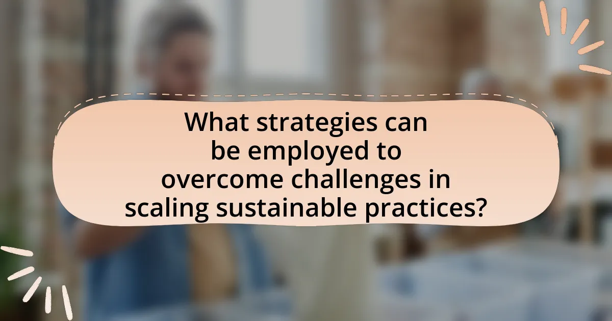 What strategies can be employed to overcome challenges in scaling sustainable practices?