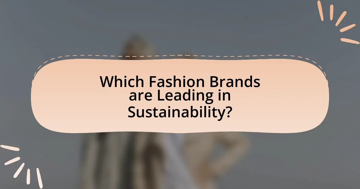 Which Fashion Brands are Leading in Sustainability?